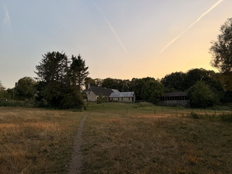Der Hof Holmslæ im Abendlicht hinter der Wiese