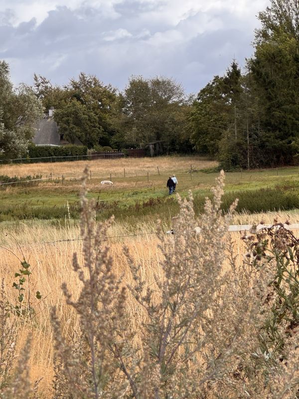 Die Hofwiese im Spätsommer